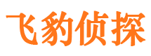 陆丰市调查公司